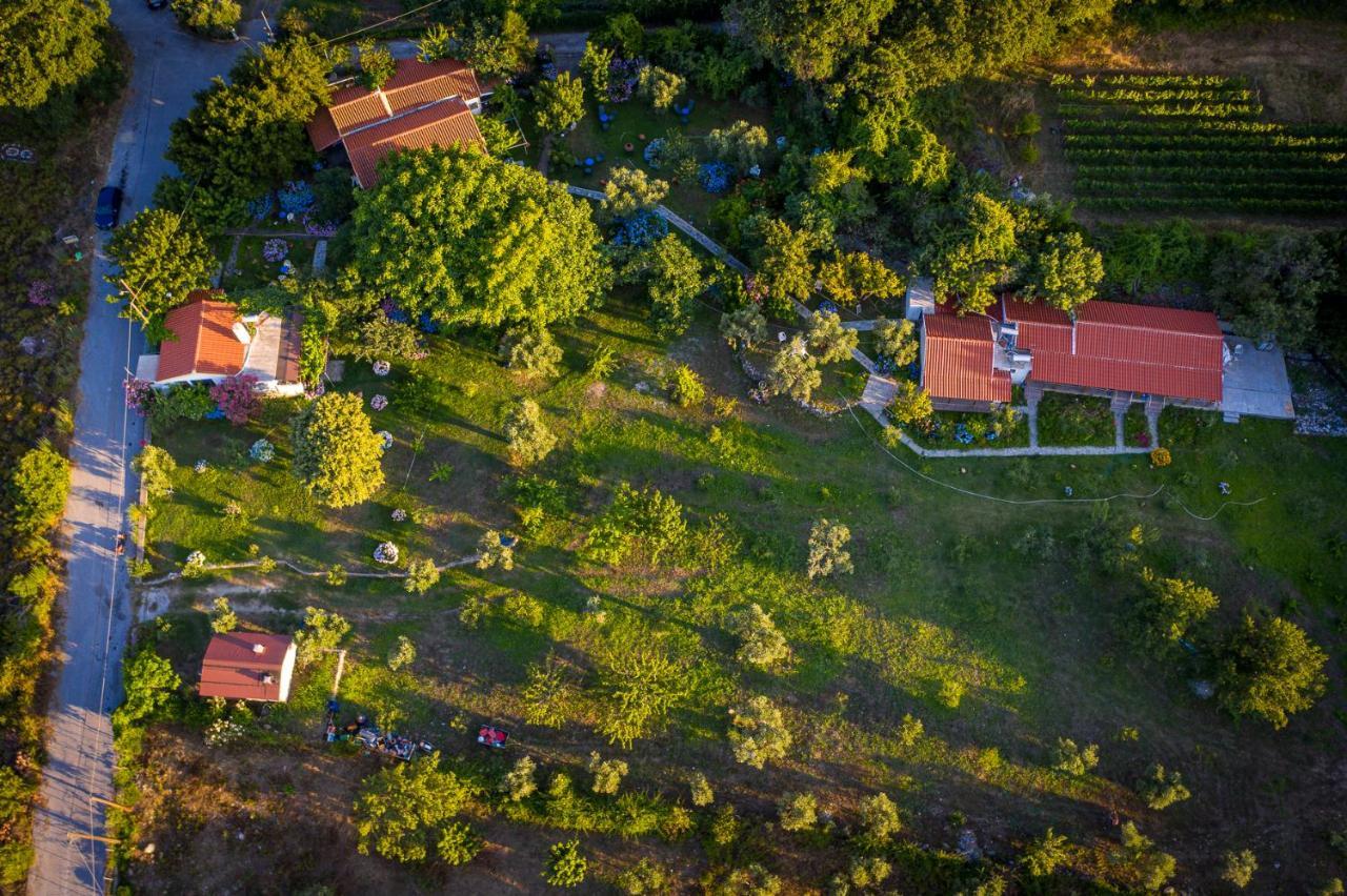 Alekas Studios Therma  Dış mekan fotoğraf