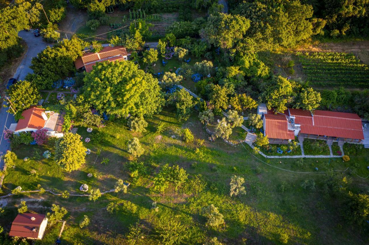 Alekas Studios Therma  Dış mekan fotoğraf