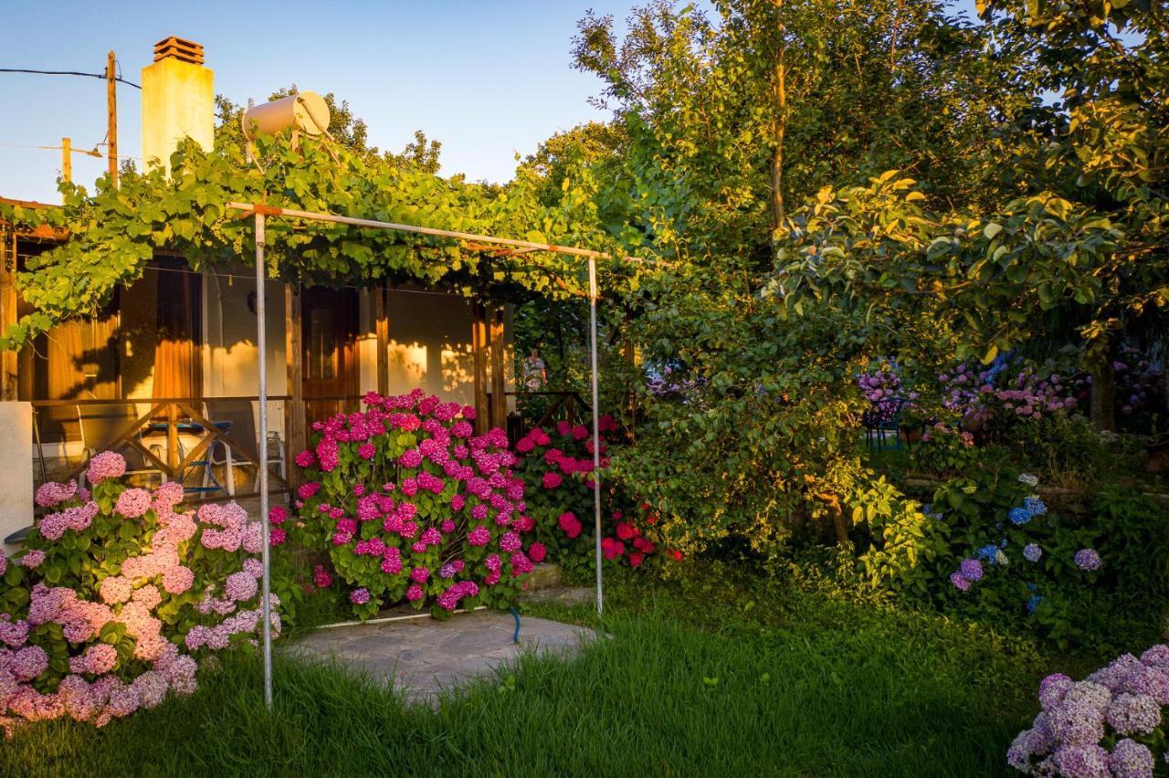 Alekas Studios Therma  Dış mekan fotoğraf