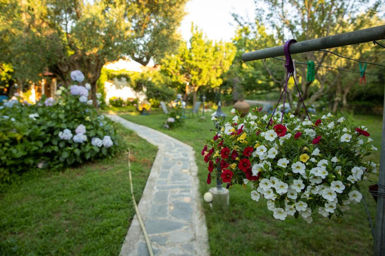 Alekas Studios Therma  Dış mekan fotoğraf