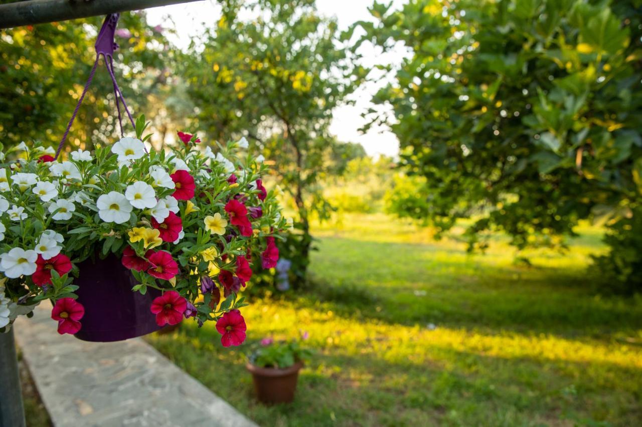 Alekas Studios Therma  Dış mekan fotoğraf