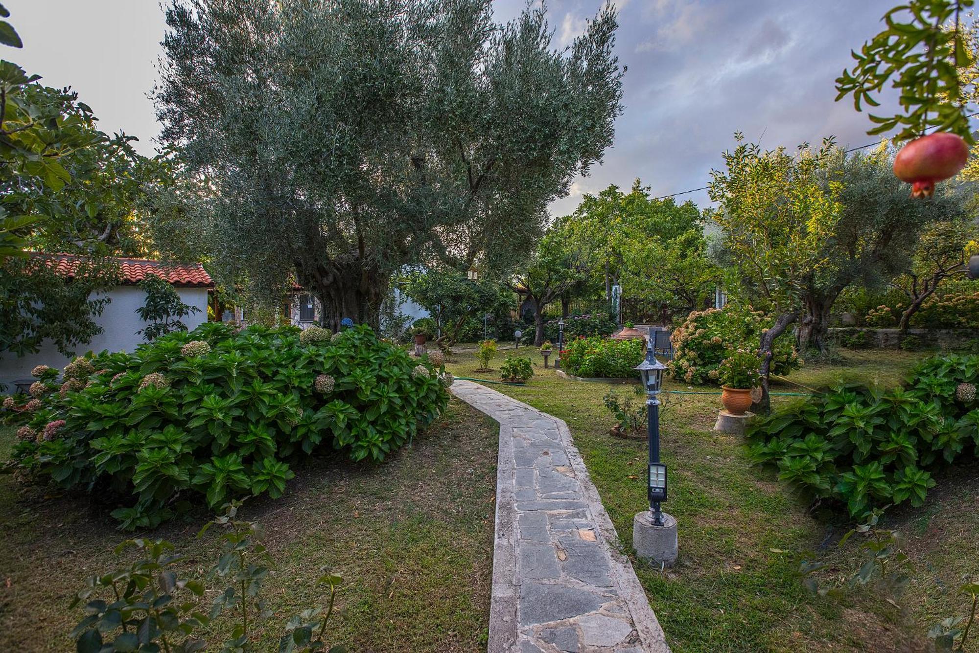 Alekas Studios Therma  Dış mekan fotoğraf